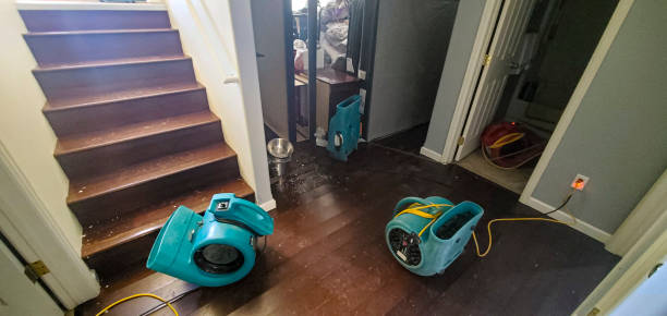 Best Carpet water damage restoration  in Steger, IL