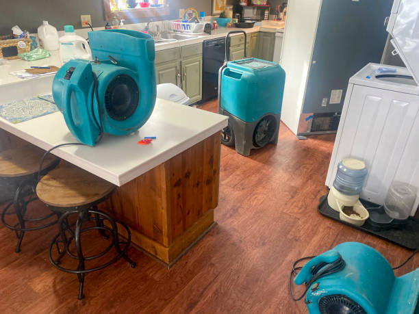 Best Commercial water damage restoration  in Steger, IL