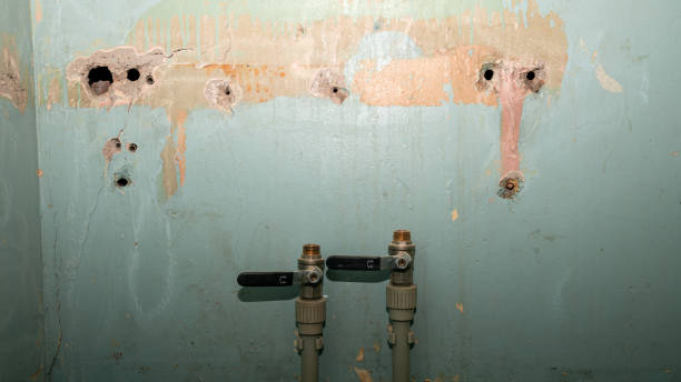 Steger, IL Water damage restoration Company