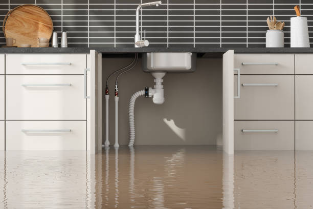 Best Emergency water damage restoration  in Steger, IL