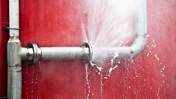 Best Water damage restoration near me  in Steger, IL